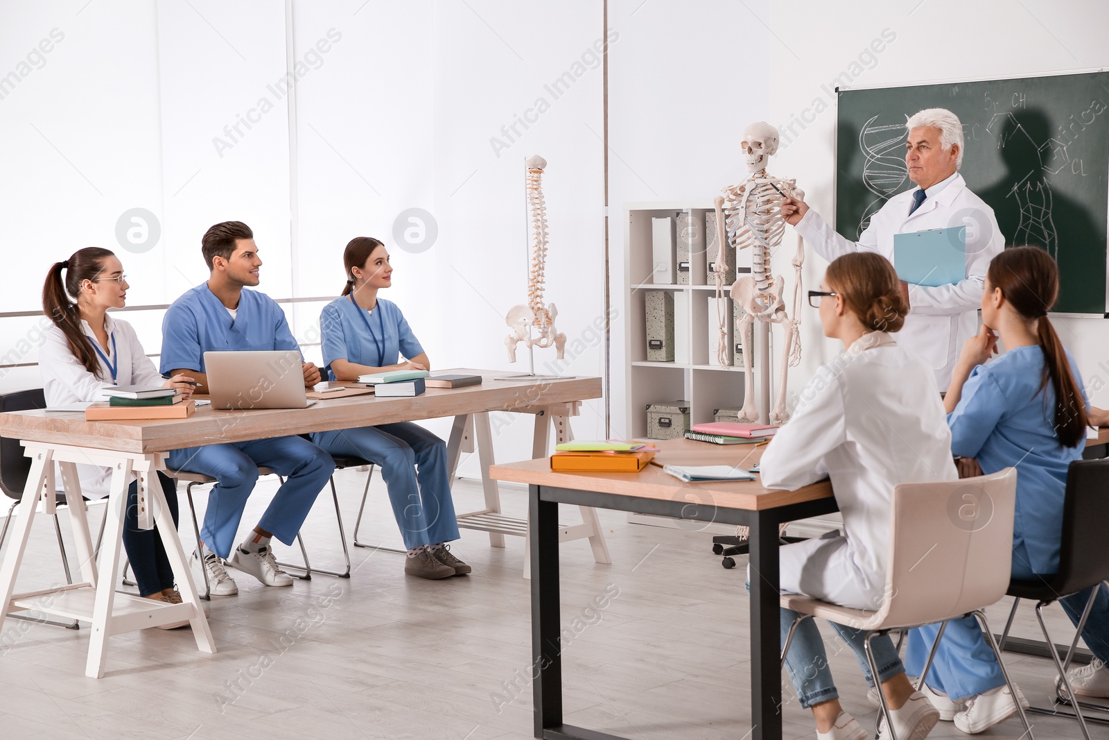 Photo of Medical students and professor studying human skeleton anatomy in classroom