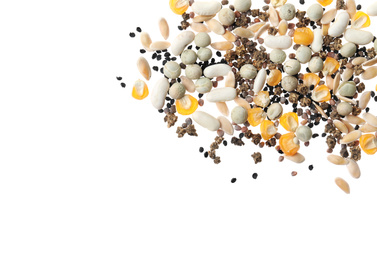 Photo of Mix of vegetable seeds on white background, top view