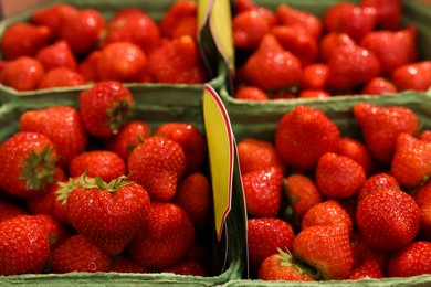 Photo of Many fresh ripe strawberries in containers, closeup