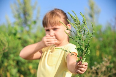 Photo of Little girl with ragweed branch suffering from allergy outdoors, focus on hand