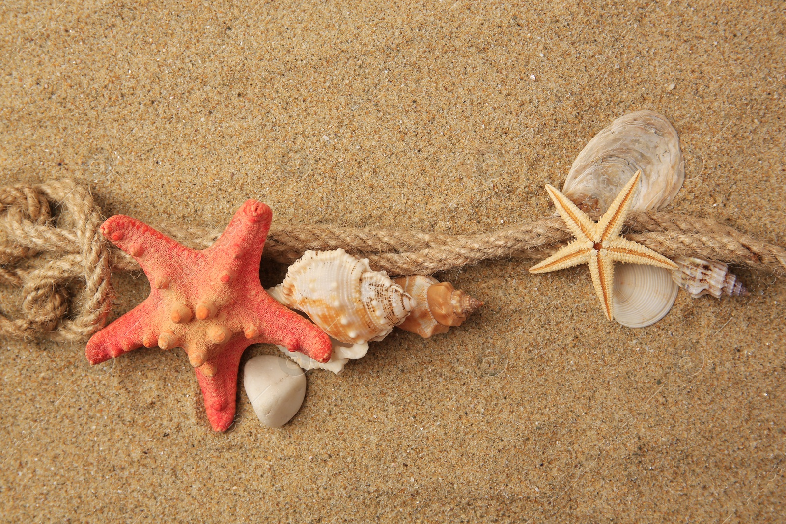 Photo of Beautiful sea stars, shells and rope on sand, flat lay