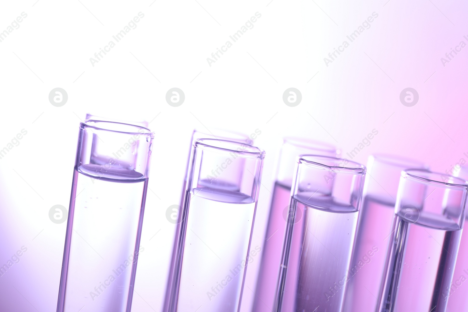 Photo of Many glass test tubes on light background, closeup