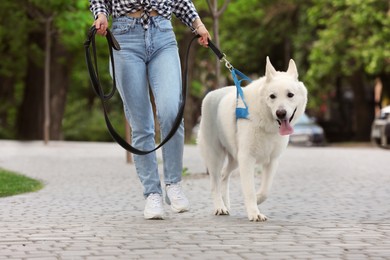 Photo of Young woman with her white Swiss Shepherd dog walking on city street, closeup