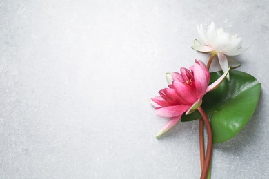 Photo of Beautiful blooming lotus flowers with green leaf on light grey table, flat lay. Space for text