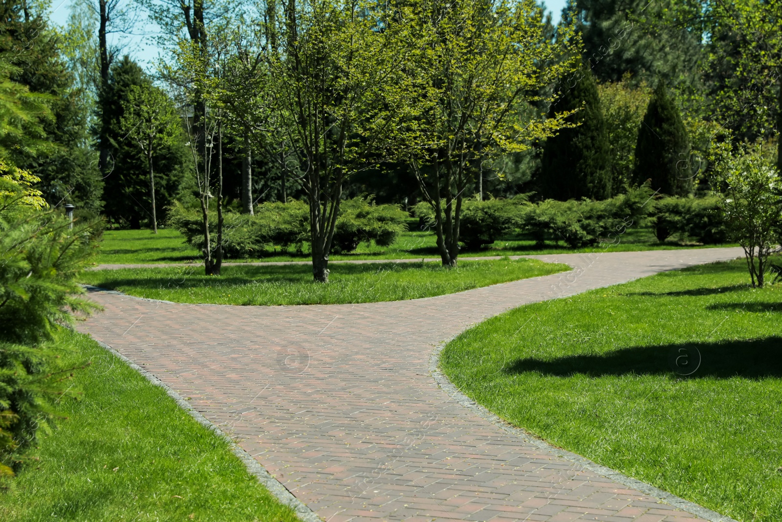 Photo of Picturesque view of beautiful park with fresh green grass and trees