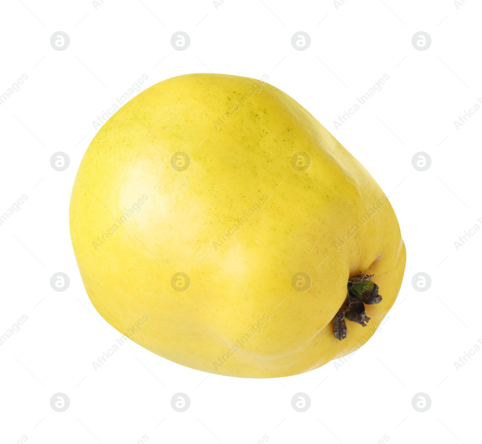 Photo of Delicious fresh ripe quince isolated on white