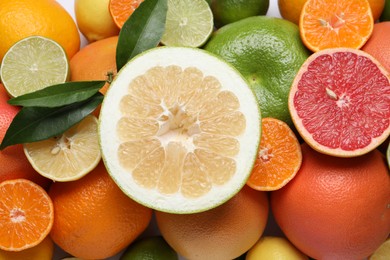 Different citrus fruits with fresh leaves as background, top view