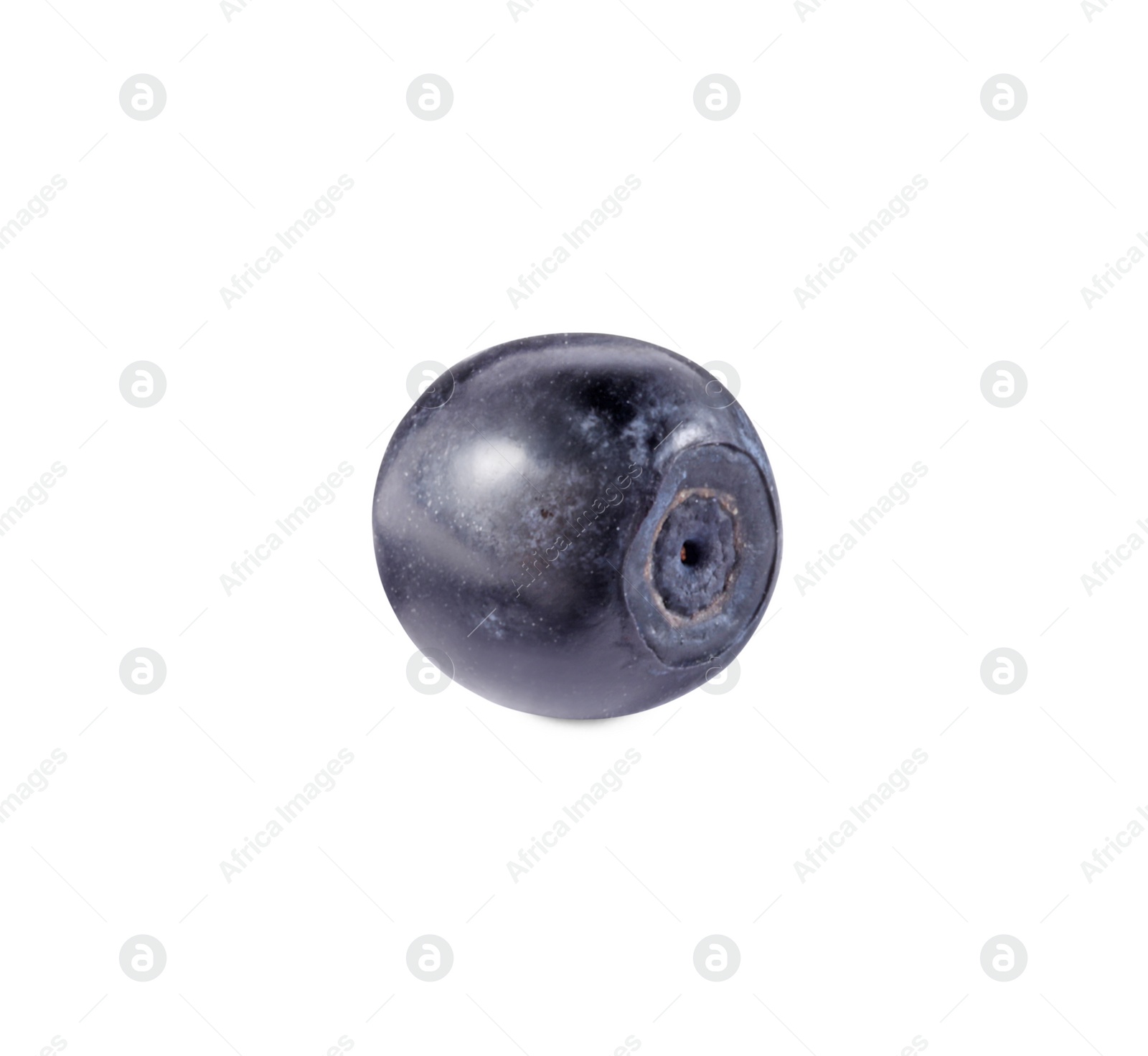 Photo of One tasty ripe bilberry isolated on white