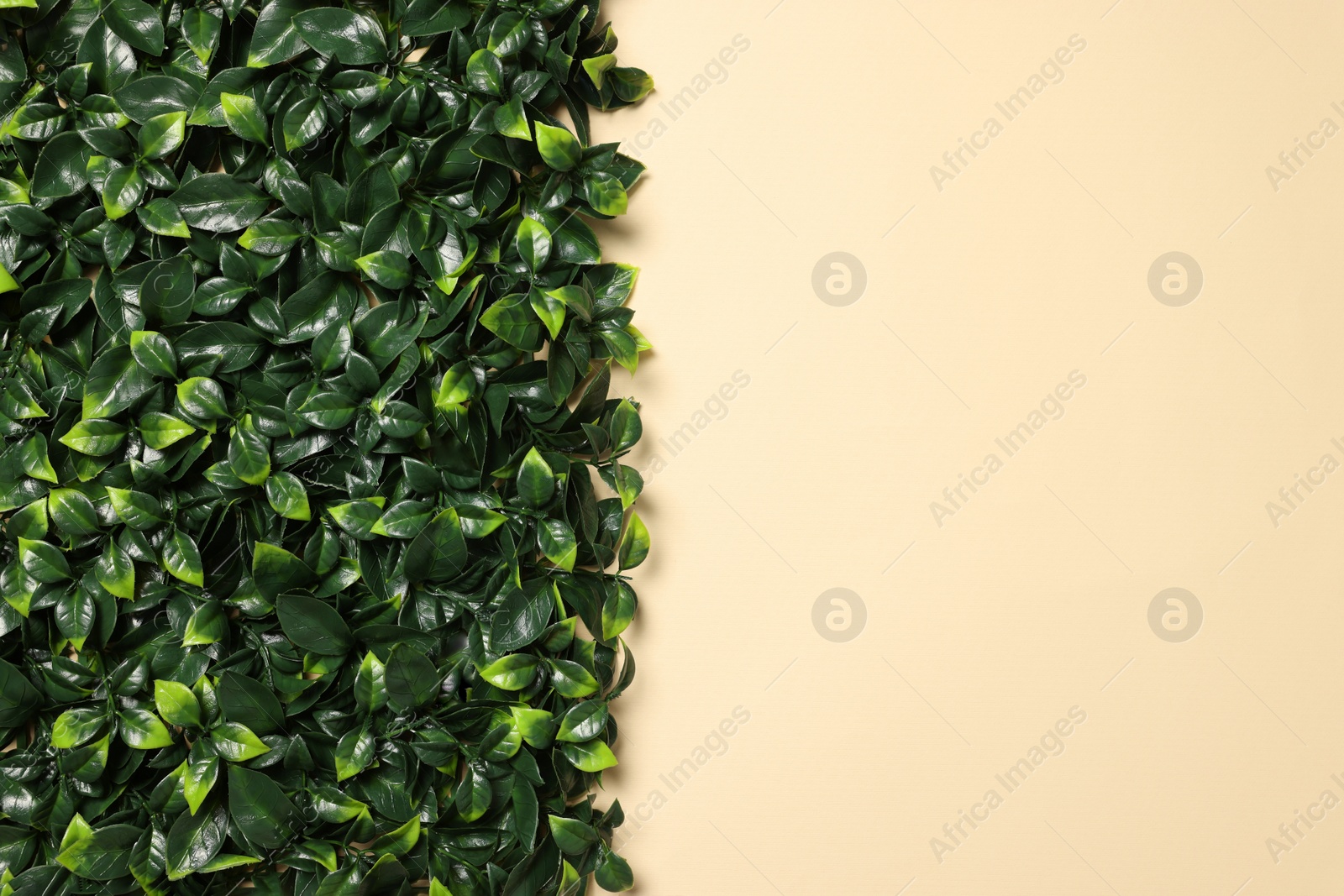 Photo of Green artificial plants on beige background, top view. Space for text