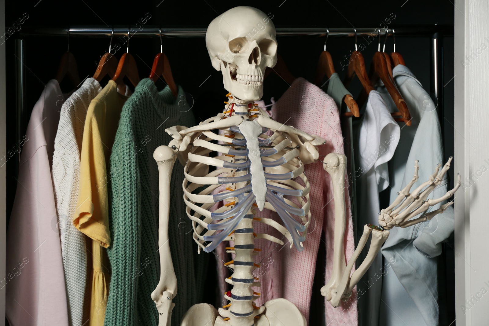 Photo of Artificial human skeleton model among clothes in wardrobe