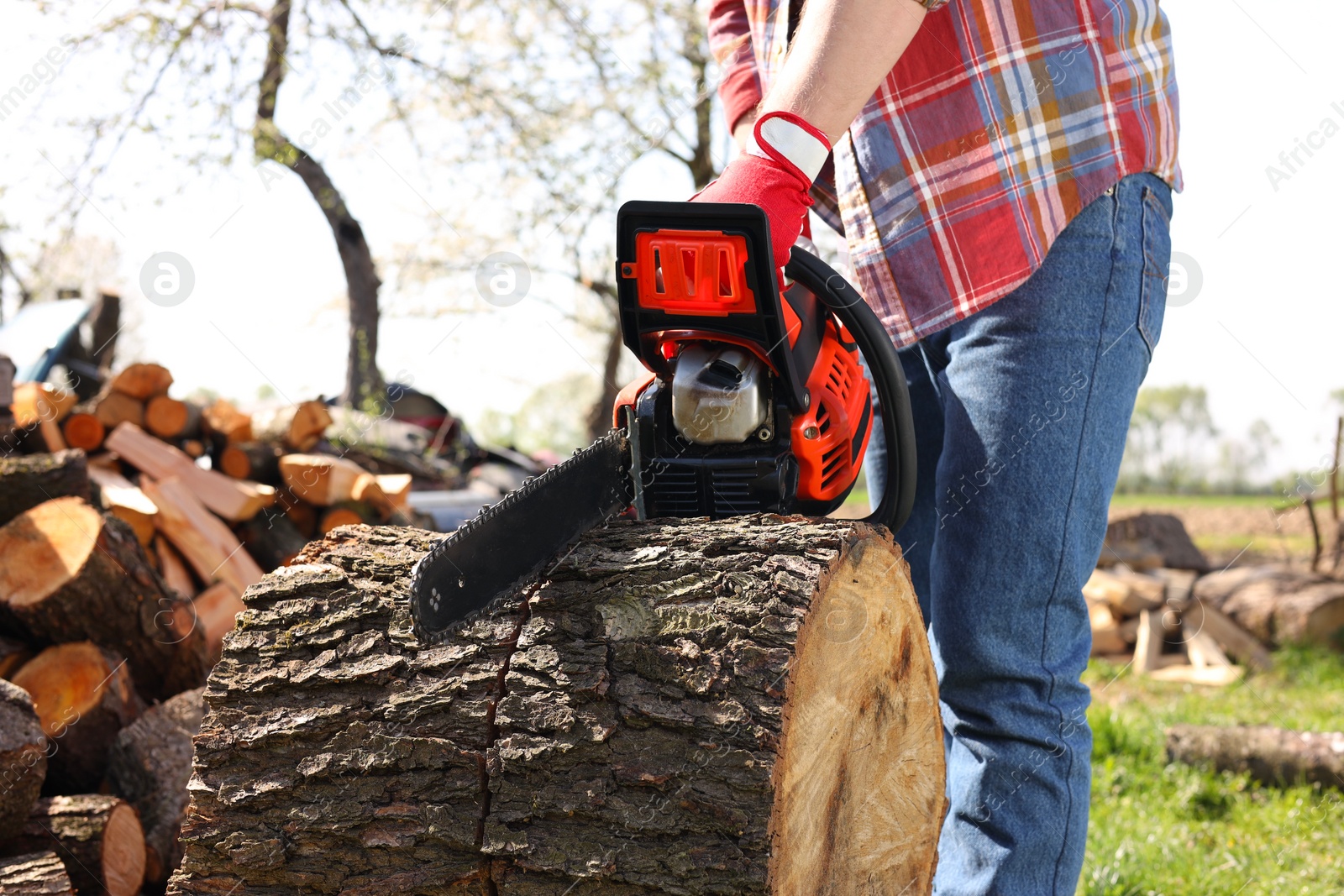 Photo of Man sawing wooden log on sunny day, closeup