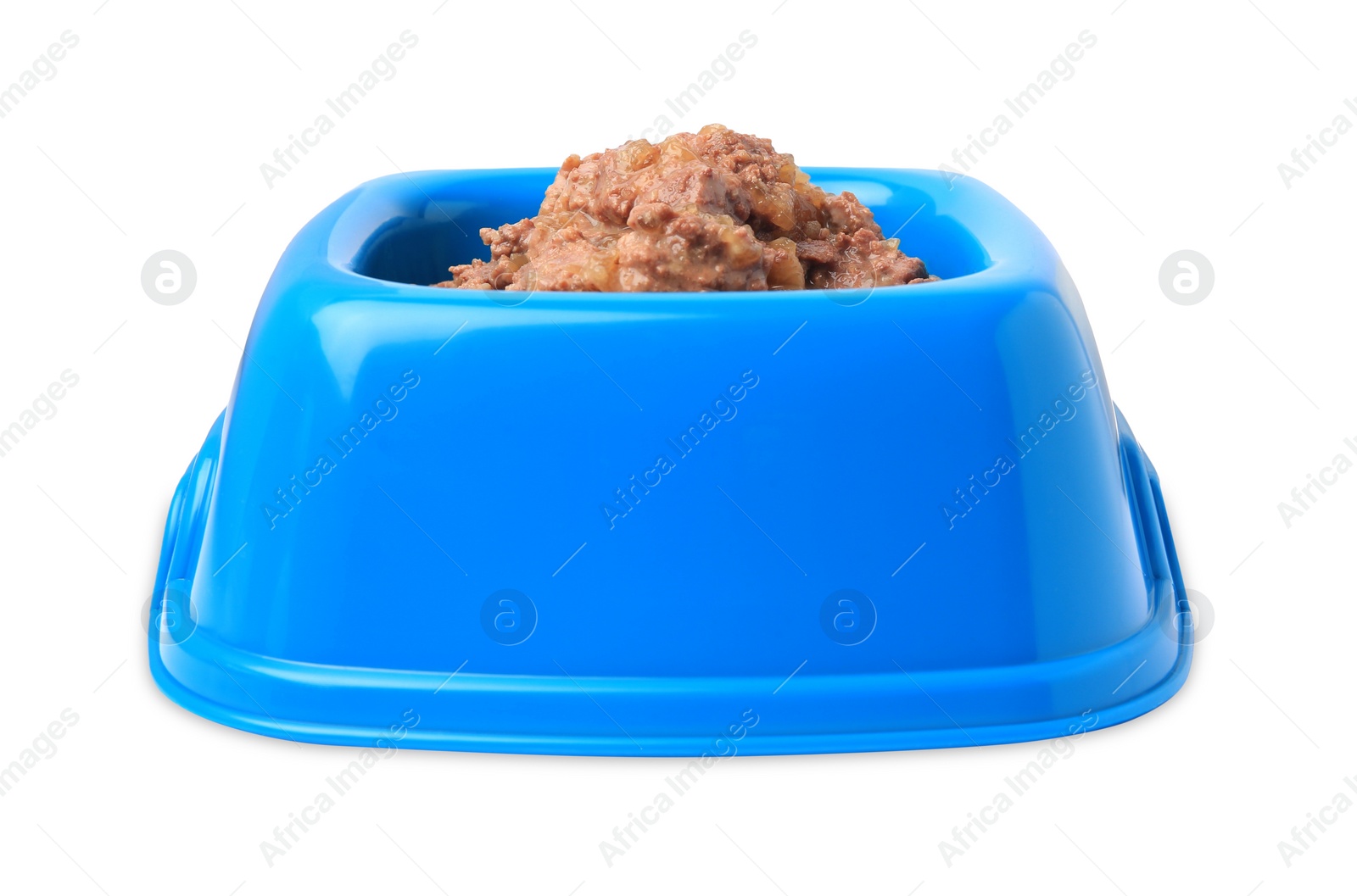 Photo of Wet pet food in feeding bowl on white background