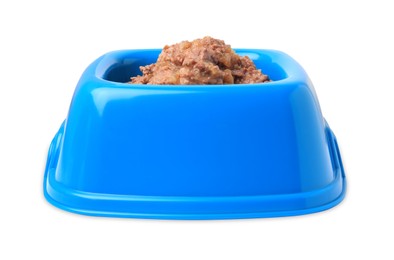 Wet pet food in feeding bowl on white background