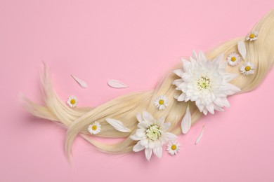 Photo of Lock of healthy blond hair with flowers on pink background, flat lay