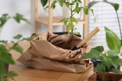 Photo of Paper bag and shovel near different seedlings on wooden table indoors