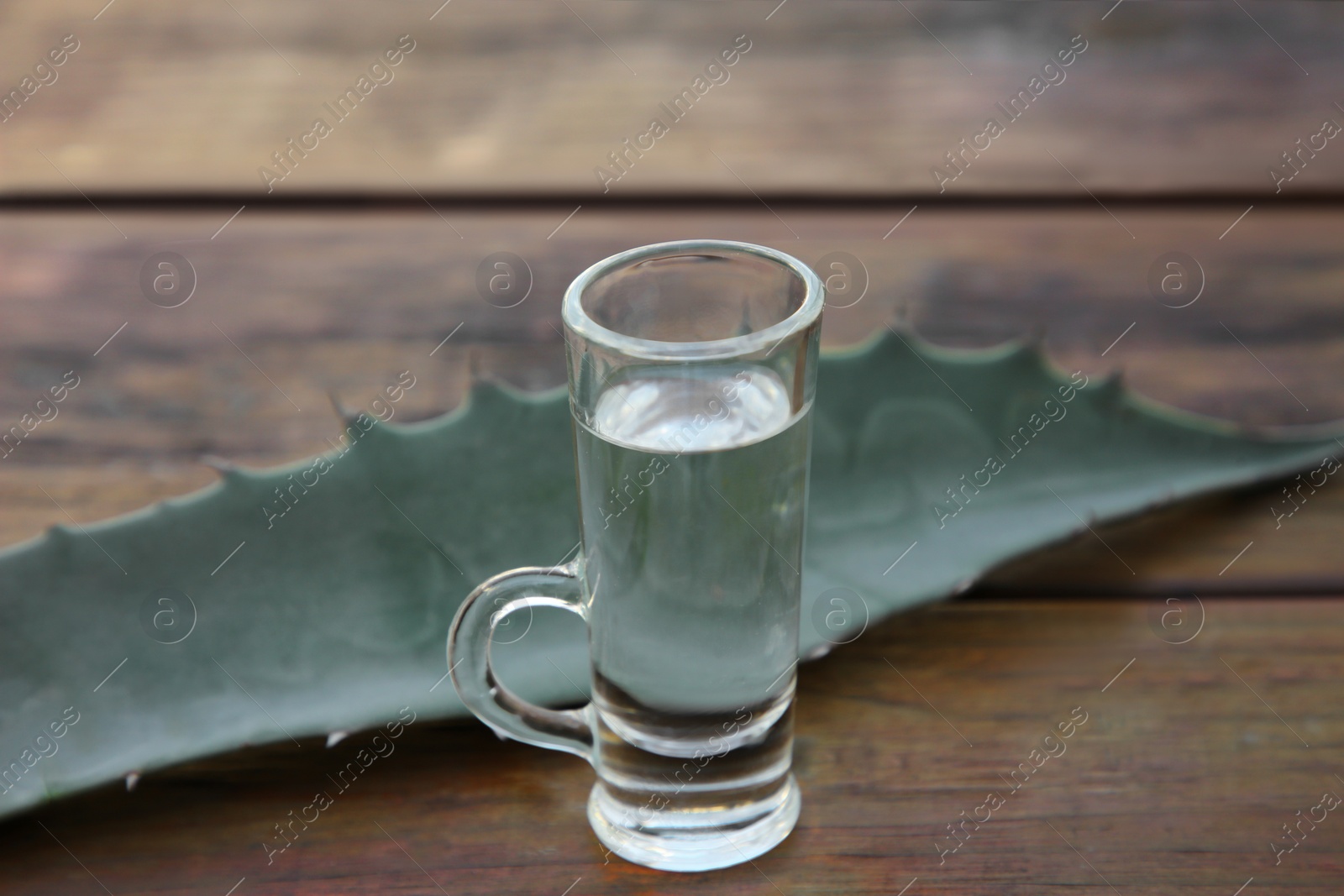 Photo of Mexican tequila shot and green leaf on wooden table, closeup. Drink made of agava