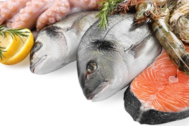 Photo of Fresh dorado fish, octopus, shrimps and salmon on white background, closeup