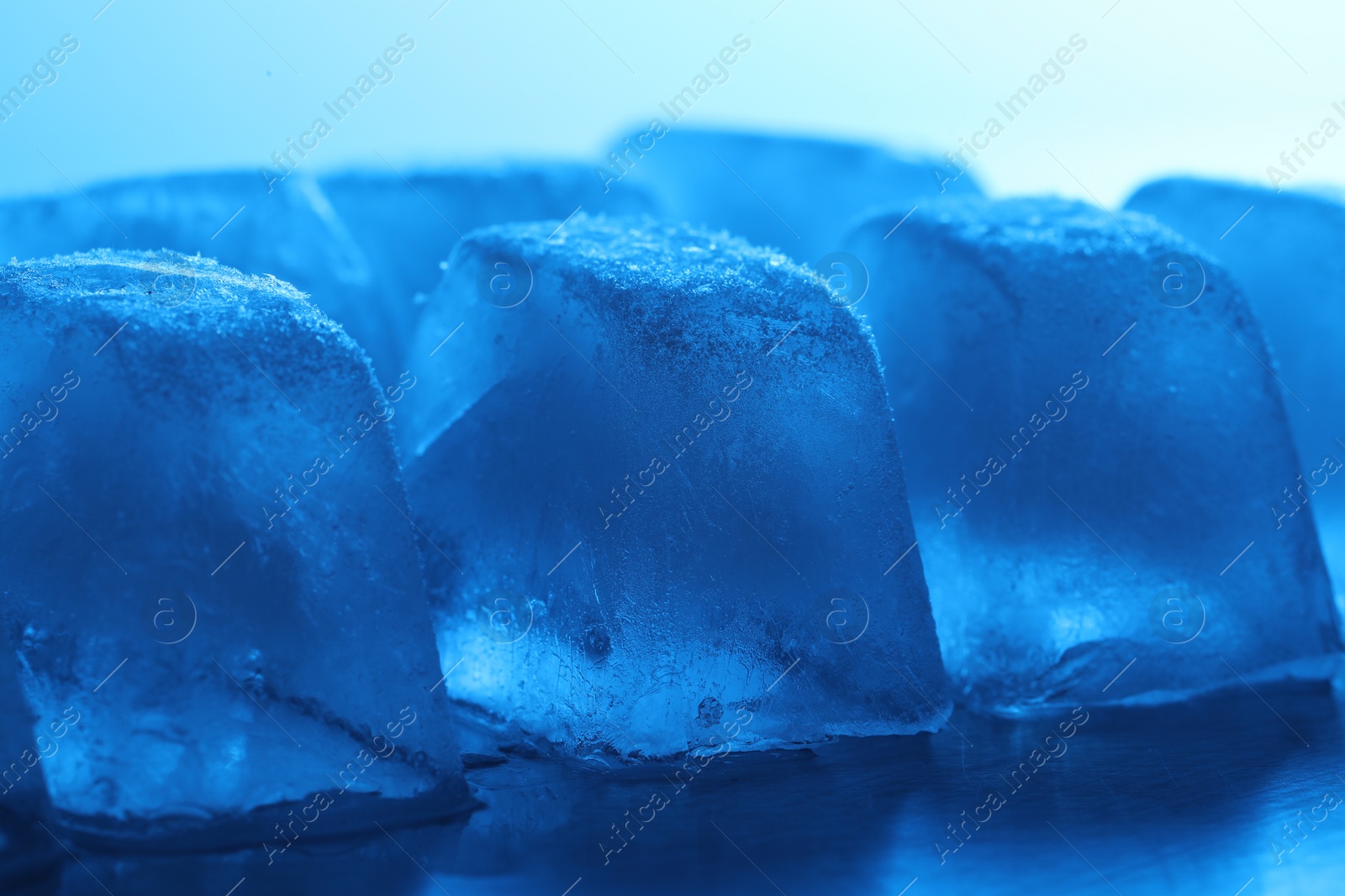 Photo of Crystal clear ice cubes on light blue background, closeup. Color tone effect