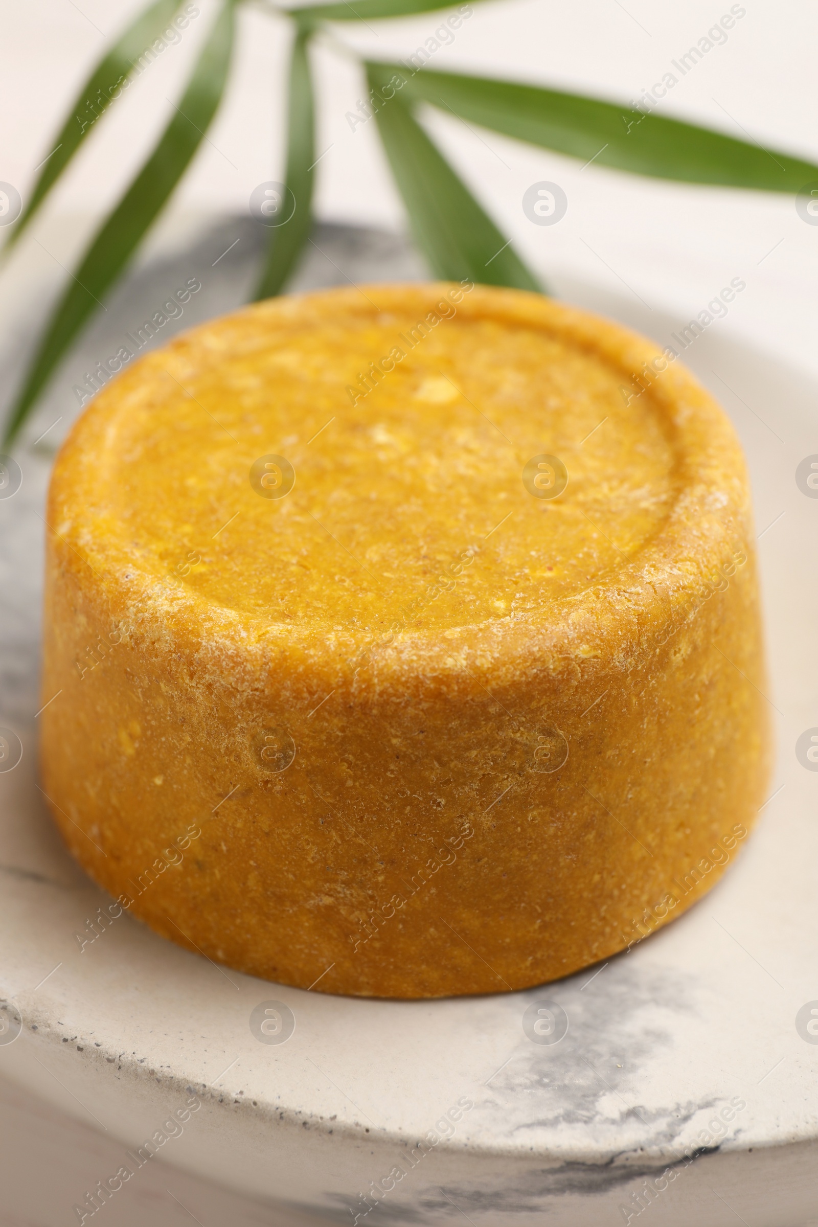 Photo of Dish with solid shampoo bar on table, closeup