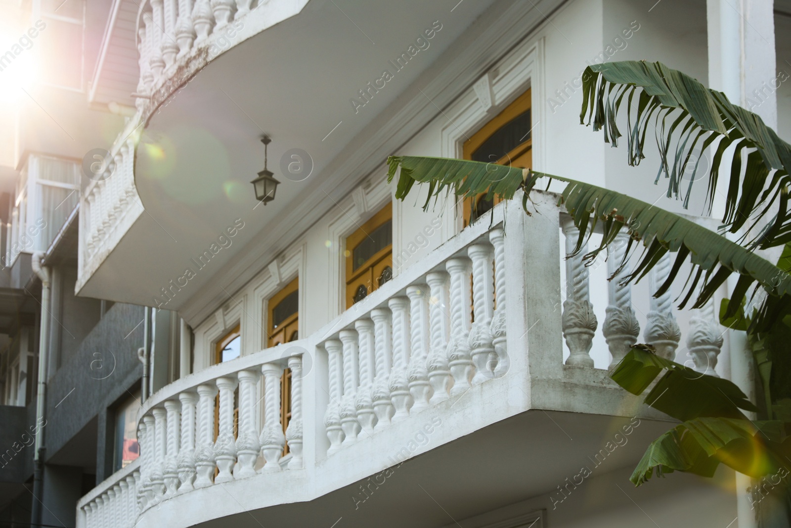 Photo of Exterior of beautiful building with balconies and palm tree outdoors on sunny day, low angle view