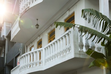 Exterior of beautiful building with balconies and palm tree outdoors on sunny day, low angle view