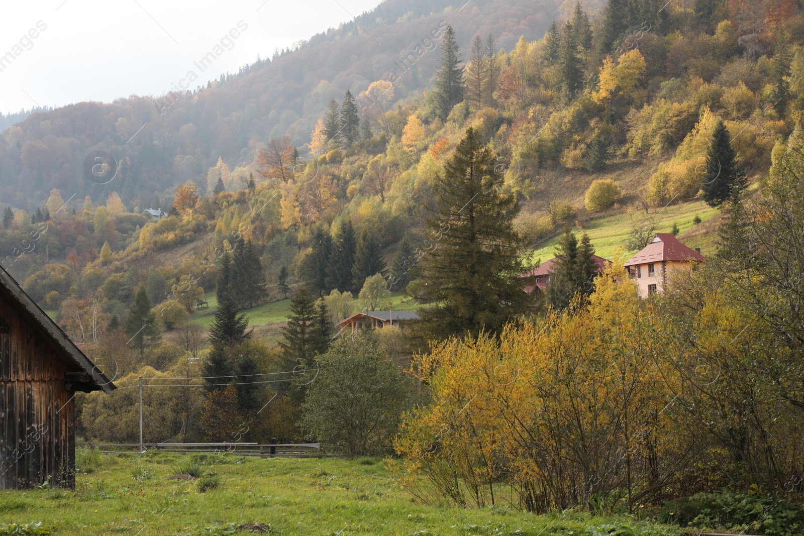 Photo of Beautiful view of forest and mountain village on autumn day