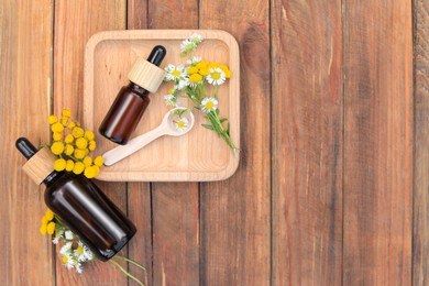 Photo of Bottles of chamomile essential oil and flowers on wooden table, flat lay. Space for text