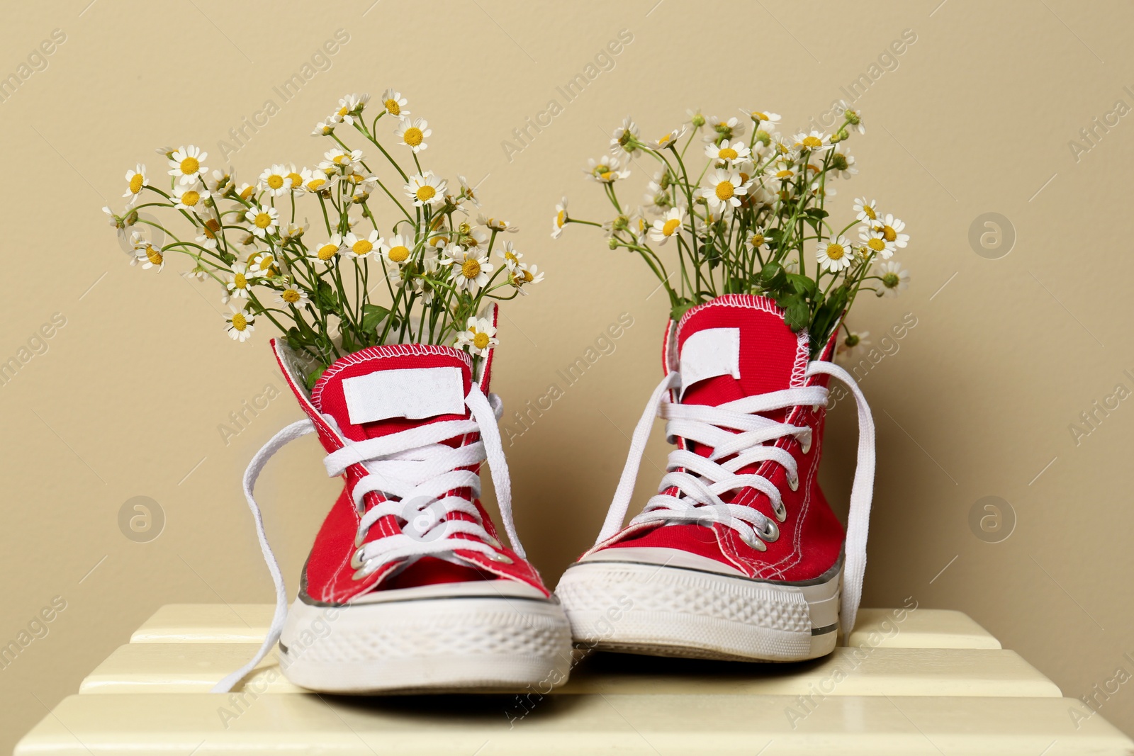 Photo of Beautiful tender chamomile flowers in red gumshoes on wooden table