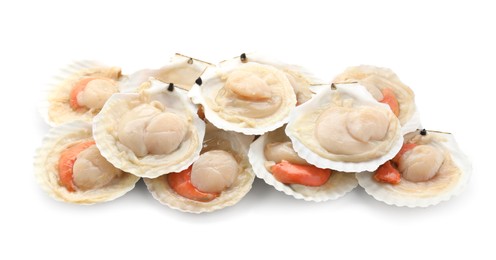 Photo of Many fresh raw scallops in shells isolated on white