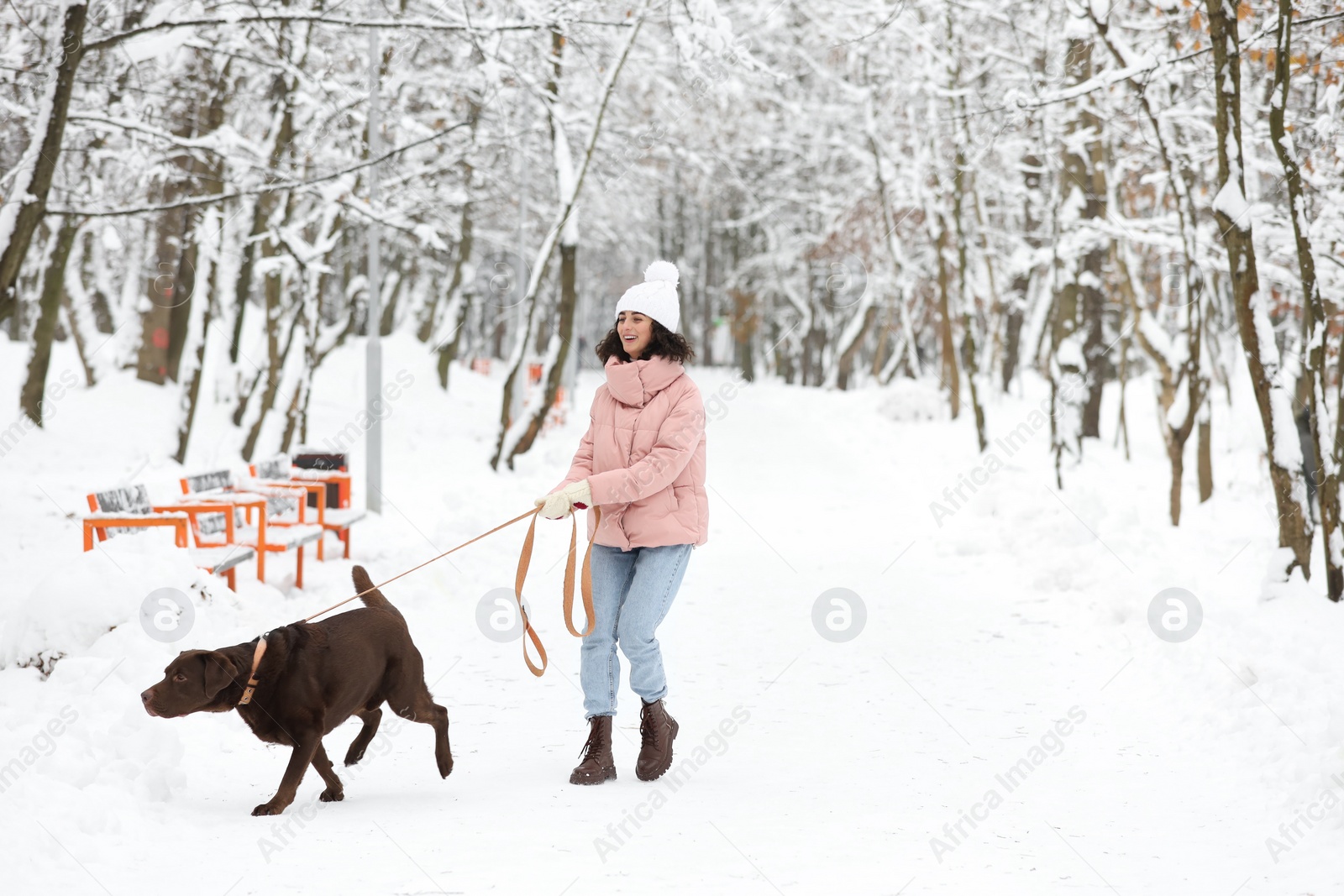 Photo of Woman walking with adorable Labrador Retriever dog in snowy park