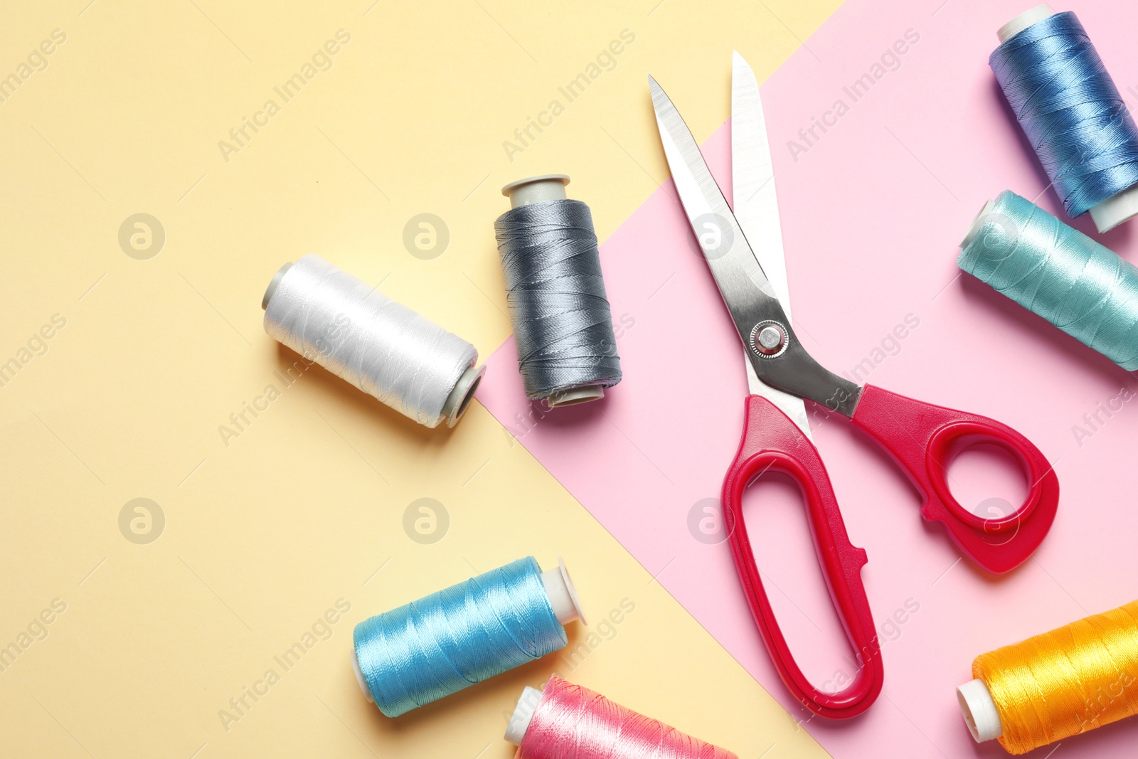 Photo of Bobbins of threads and sewing scissors on color background, flat lay