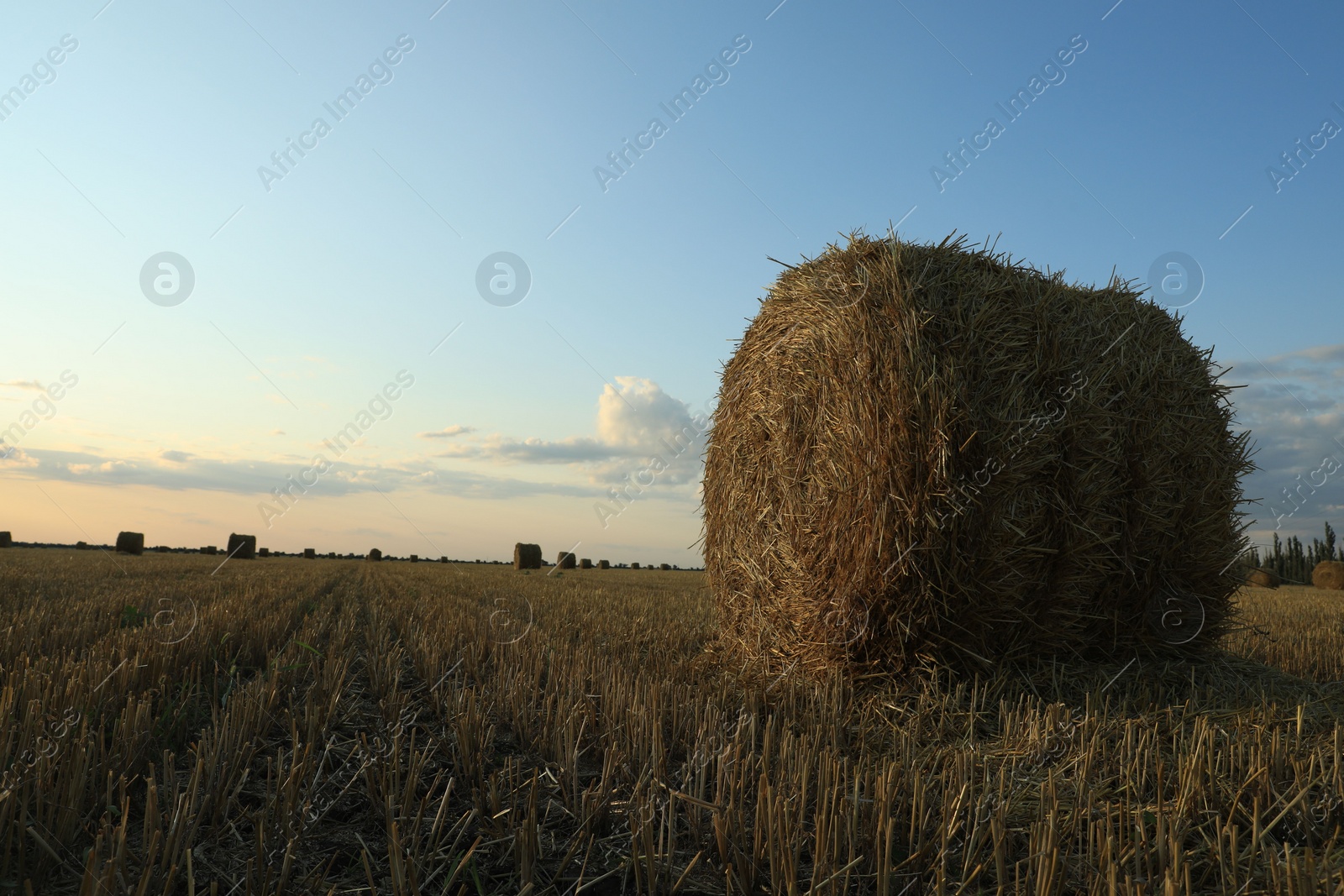 Photo of Beautiful view of agricultural field with hay bale