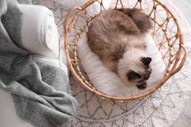 Photo of Cute Balinese cat in basket at home, above view. Fluffy pet
