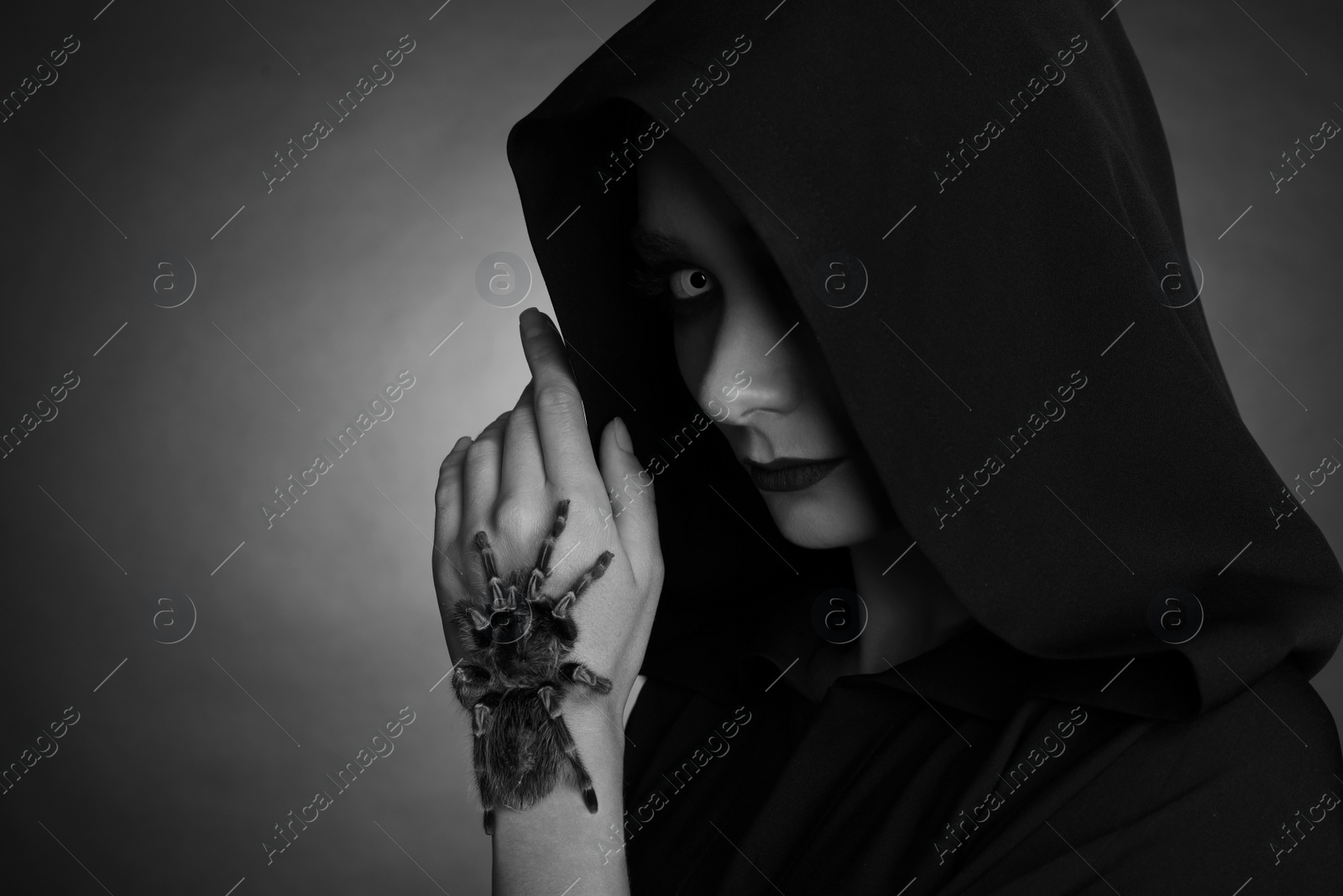 Photo of Mysterious witch with spooky spider on dark background, space for text. Black and white effect