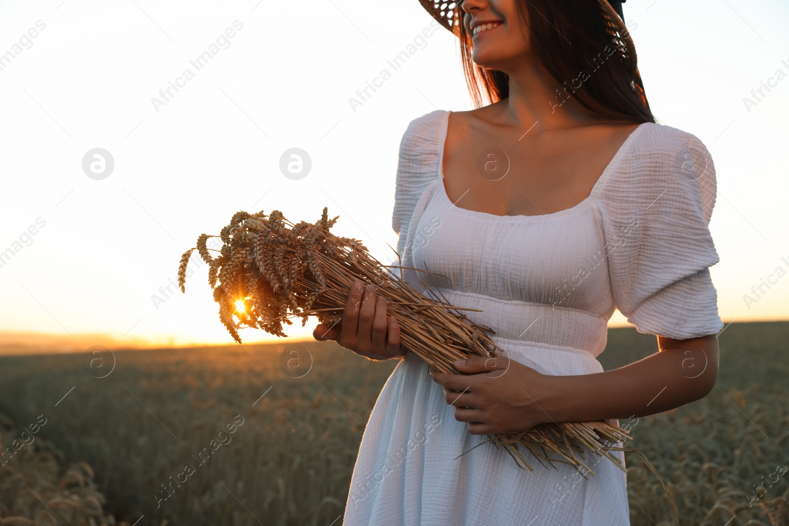 Photo of Young woman with bunch of wheat ears in field on sunny day, closeup