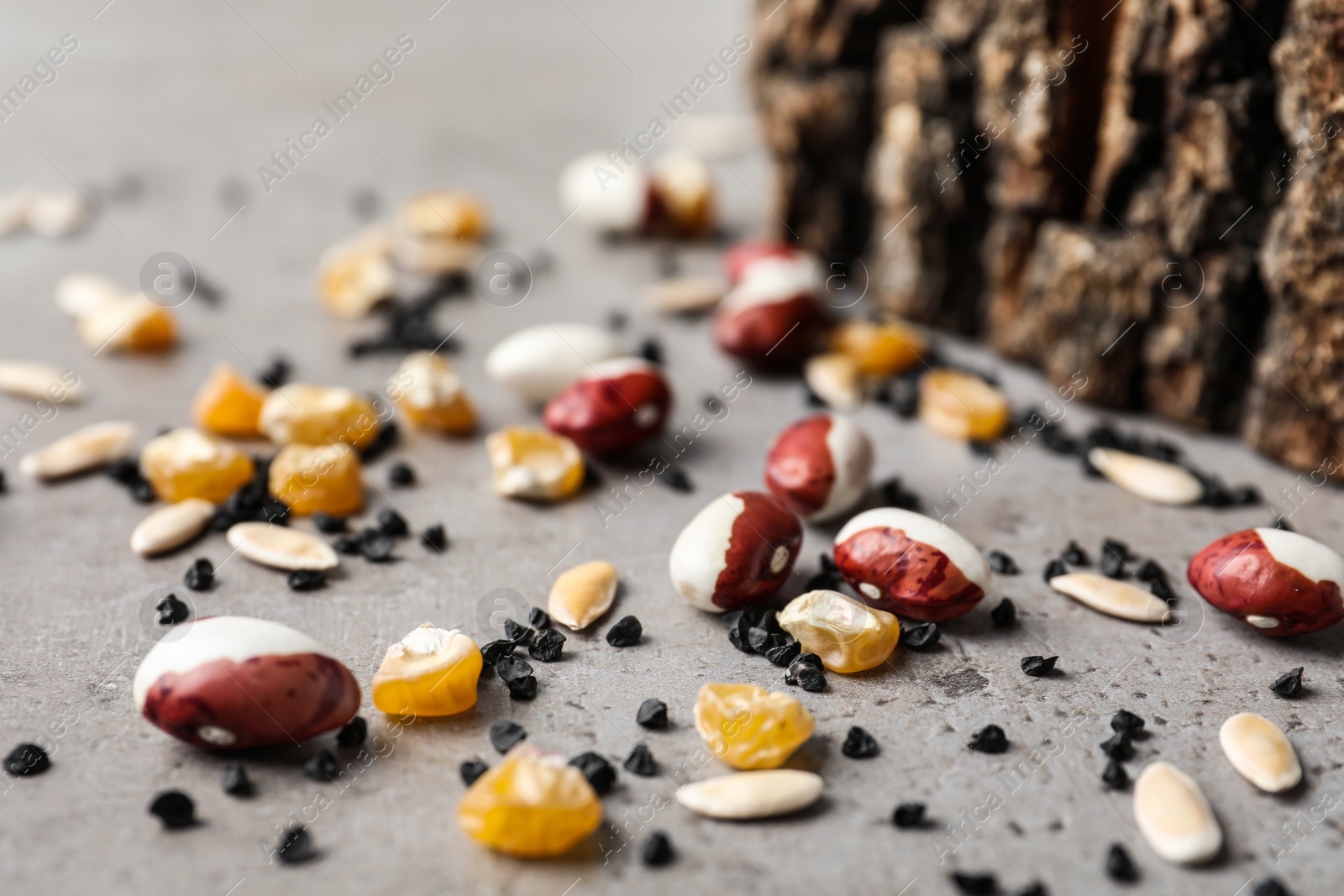 Photo of Mixed vegetable seeds on grey background, closeup