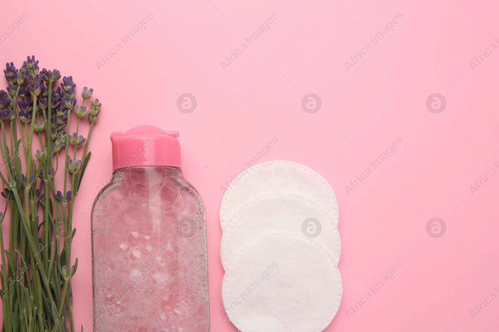 Photo of Bottle of makeup remover, cotton pads and lavender on pink background, flat lay. Space for text