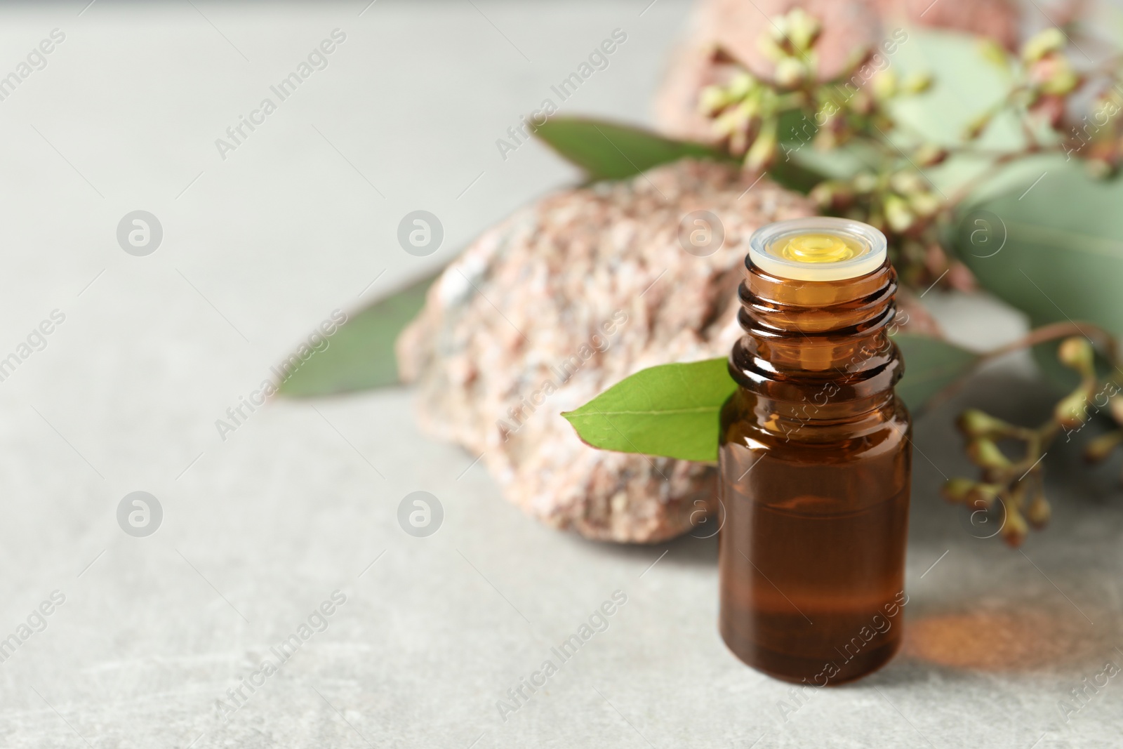 Photo of Bottle of eucalyptus essential oil, stone and leaves on light grey table. Space for text