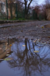 Photo of View of puddle with fallen leaves outdoors, closeup. Rainy autumn weather