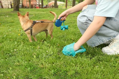 Photo of Woman picking up her dog's poop from green grass in park, closeup