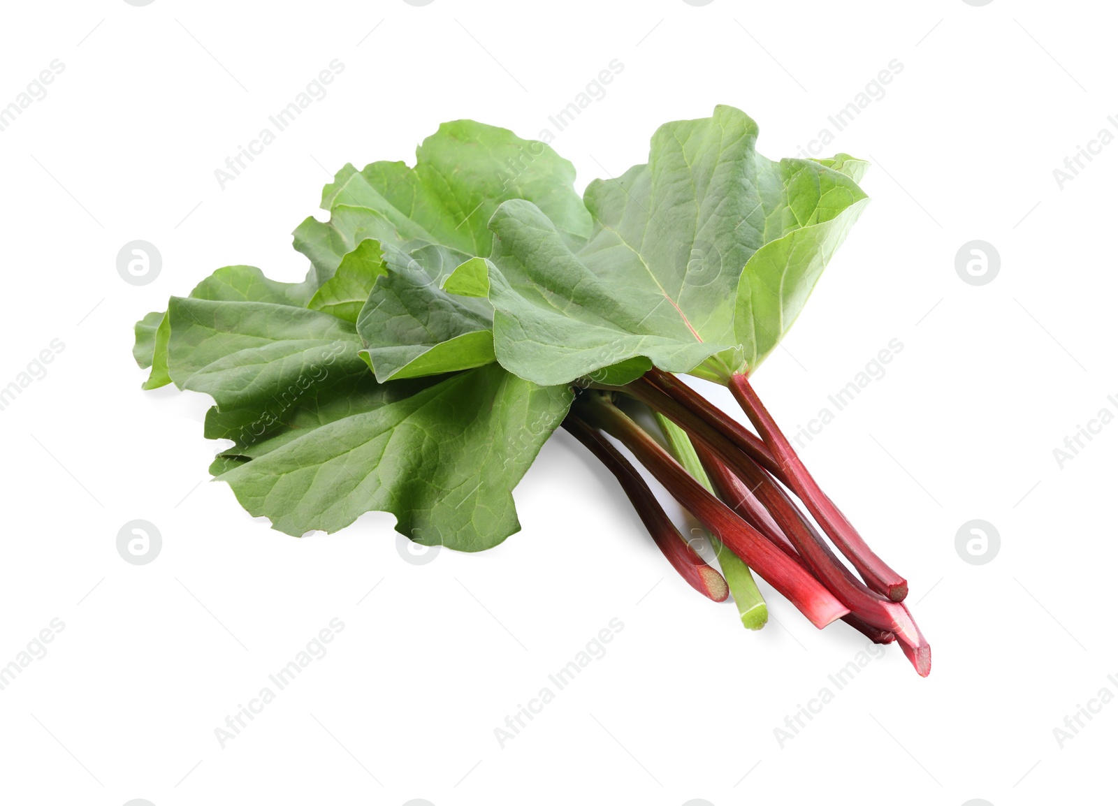 Photo of Fresh rhubarb stalks with leaves isolated on white