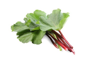 Photo of Fresh rhubarb stalks with leaves isolated on white