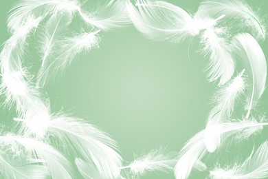 Image of Fluffy bird feathers in air on green background, space for text