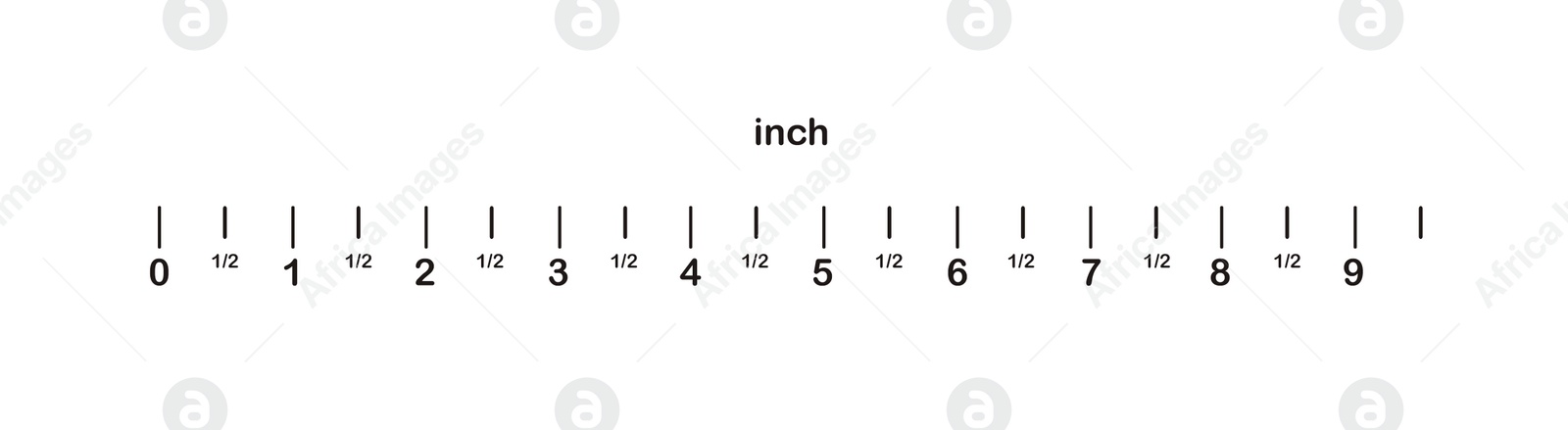 Image of Measuring length markings in inches of ruler on white background. Illustration