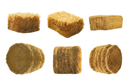 Image of Set of hay bales on white background. Agriculture industry