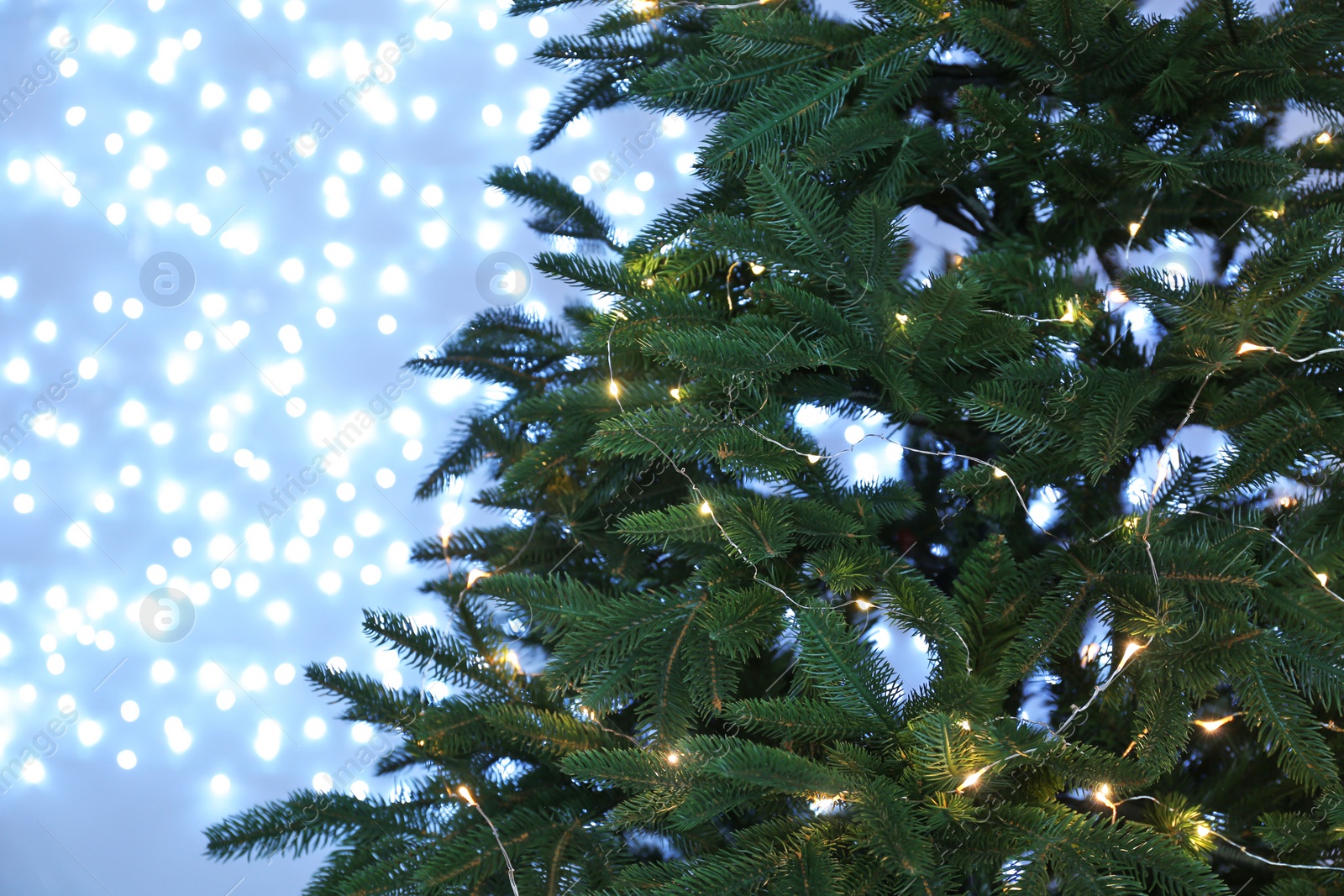 Photo of Christmas tree with fairy lights against blurred background