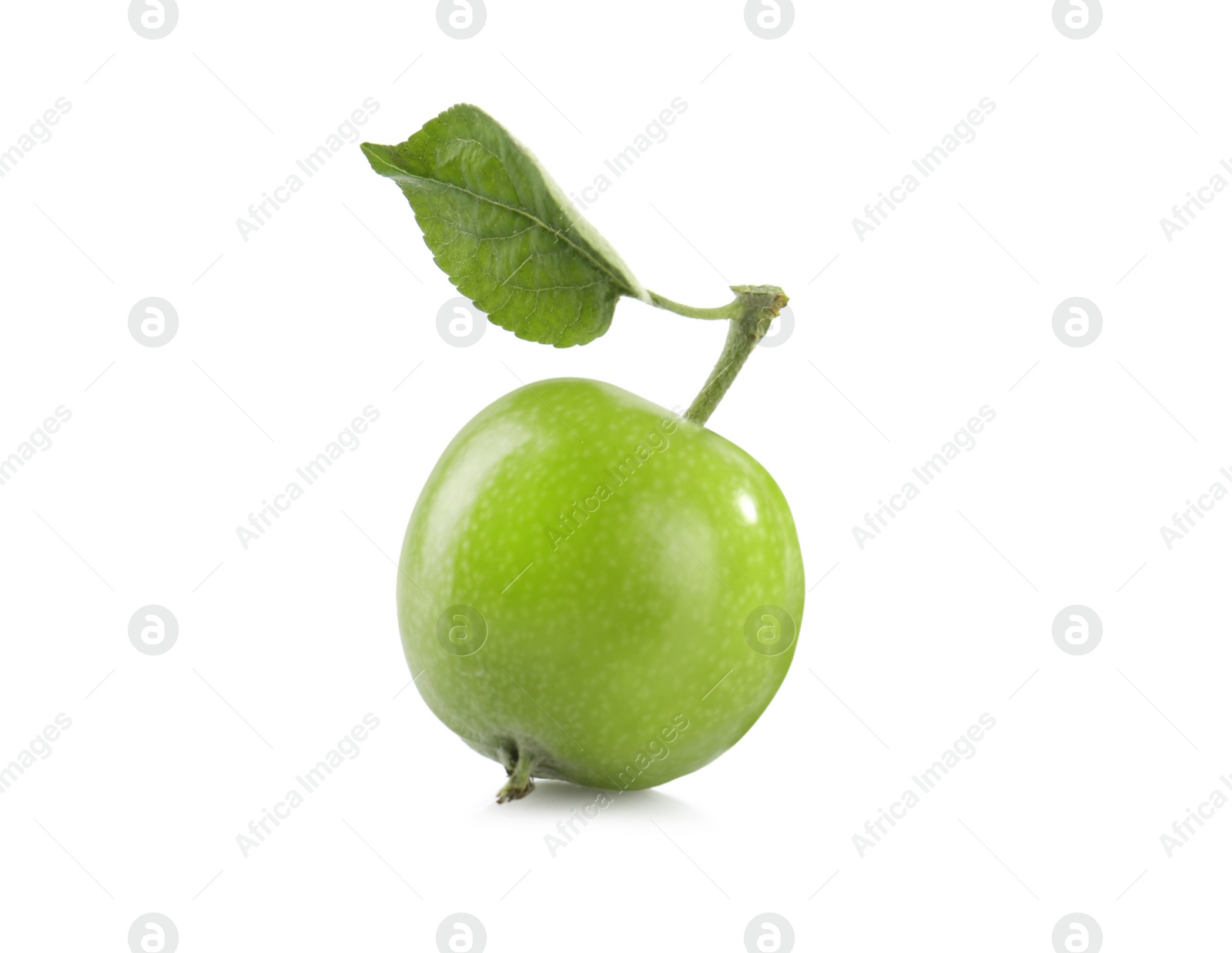 Photo of Fresh green apple with leaf isolated on white