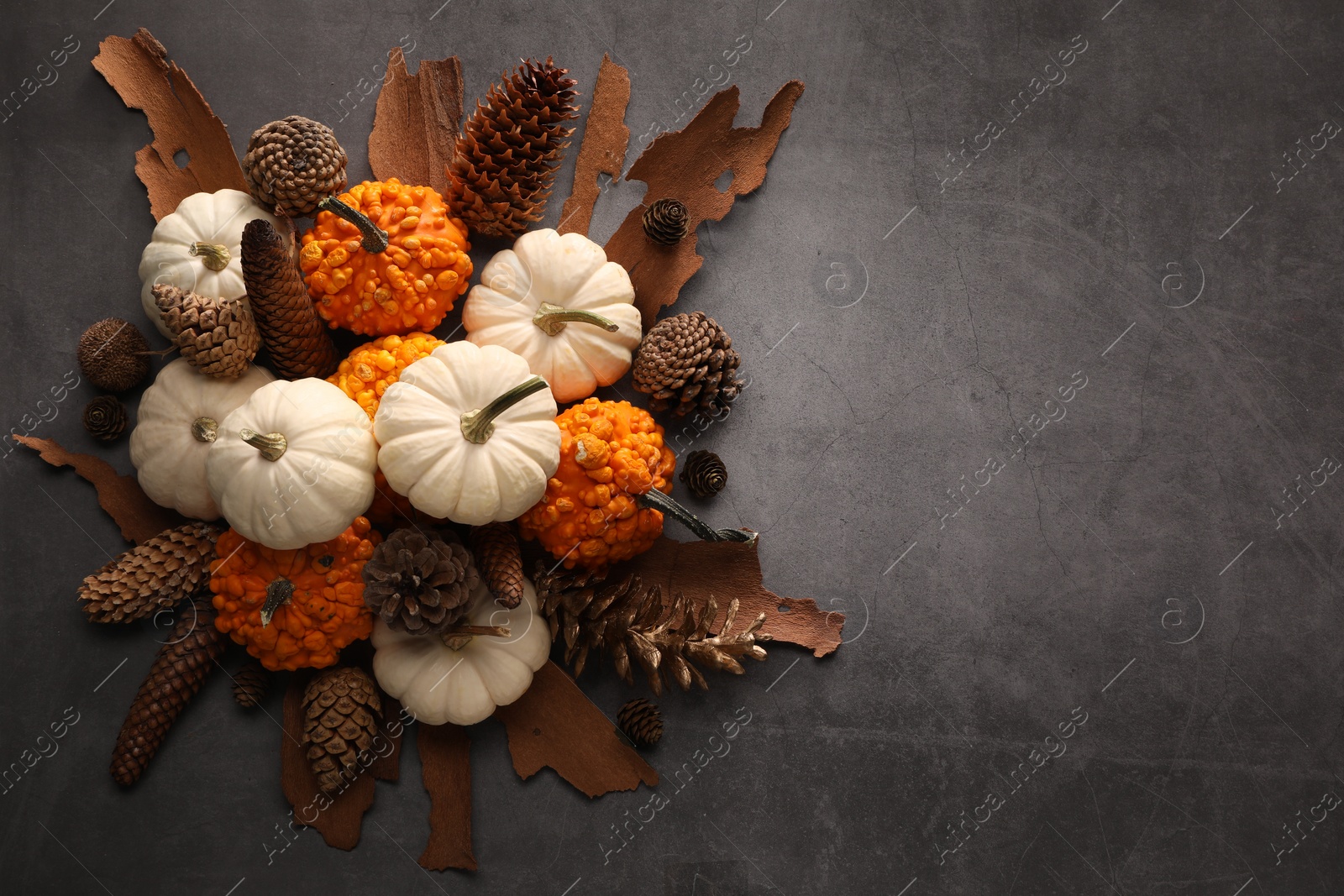 Photo of Flat lay composition with ripe pumpkins on grey table. Space for text