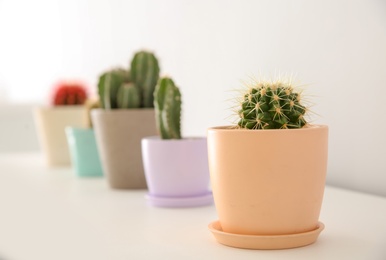 Beautiful cactus in flowerpot on white table indoors