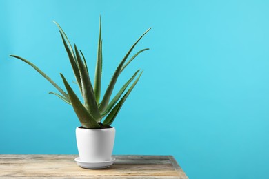 Green aloe vera in pot on wooden table against light blue background, space for text